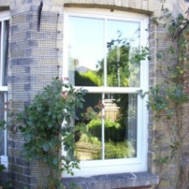 window-with-bushes-in-front